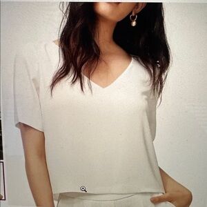 Aritzia Babaton V-Neck Blouse